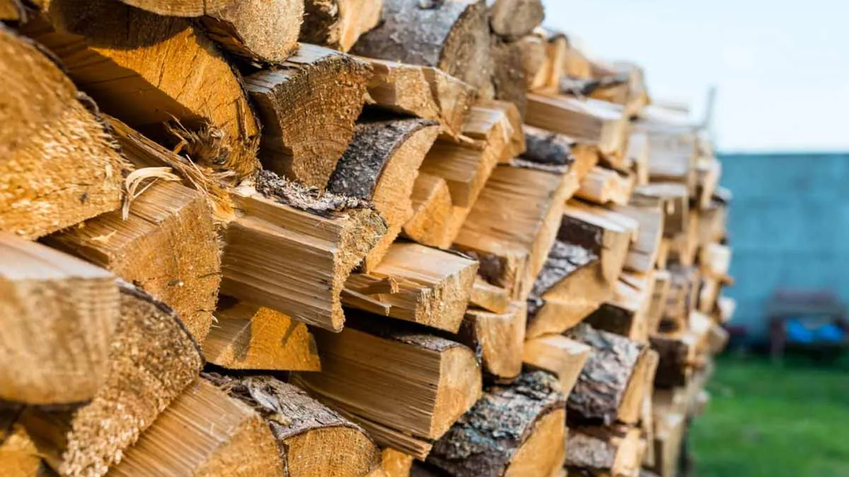 Heizen mit Holz: so lagert man richtig und hat länger Freude