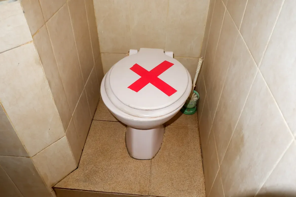 Darum solltest du den Klo-Deckel zu Hause nie offen lassen