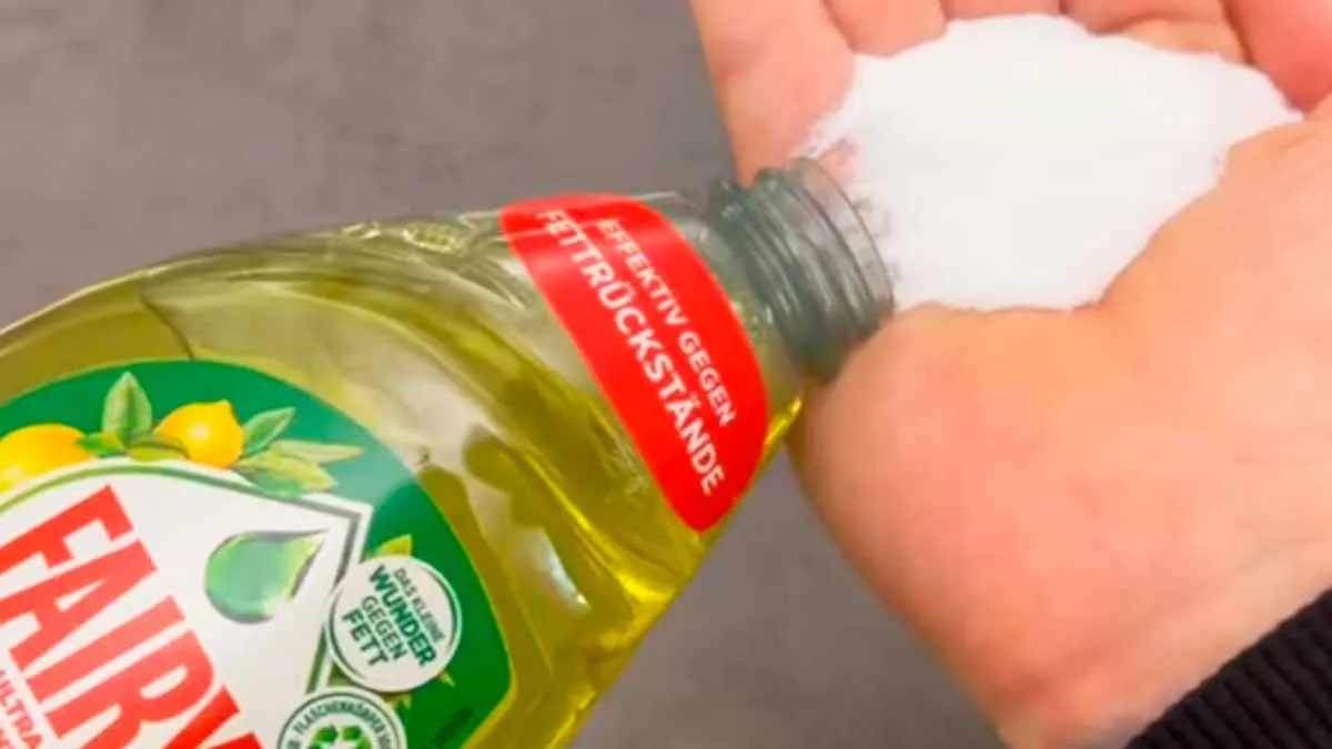 Salz im Spülmittel: der einfache Trick fürs sauberere Geschirr