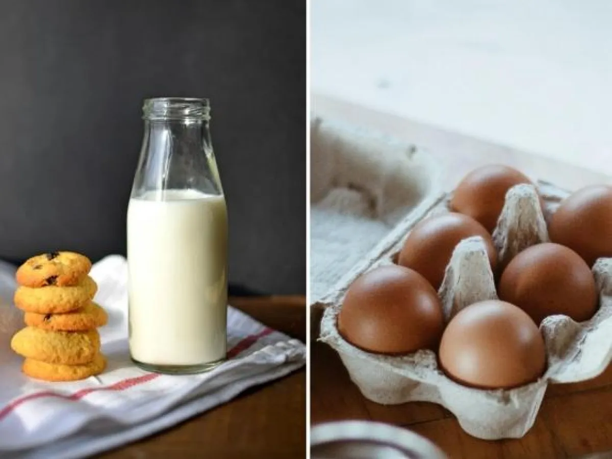 Vorsicht bei Lebensmittelverschwendung: Was abgelaufene Lebensmittel uns zeigen